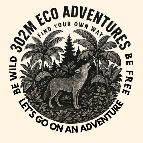 DeFreitas Ventures Inc. Logo